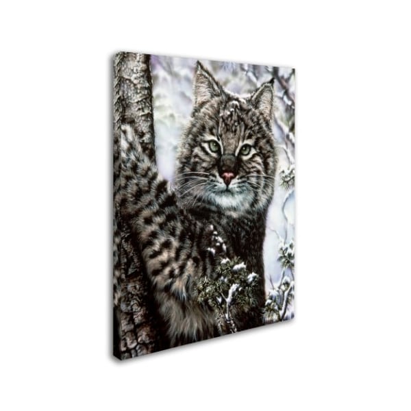 Jenny Newland 'Alluring Eyes' Canvas Art,14x19